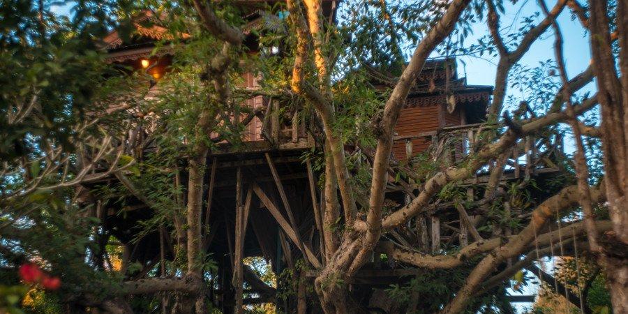 Magic treehouse